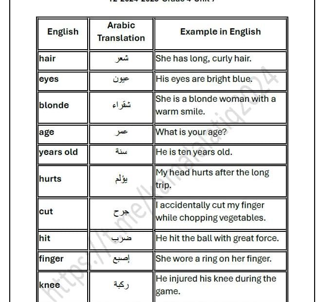 حل أوراق عمل الوحدة السابعة اللغة الإنجليزية الصف الرابع