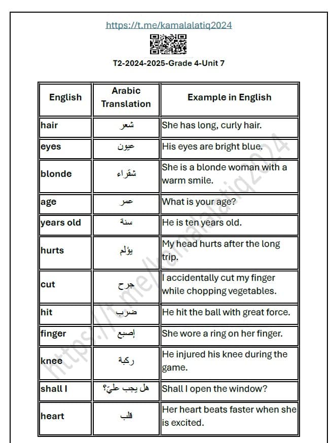 حل أوراق عمل الوحدة السابعة اللغة الإنجليزية الصف الرابع 