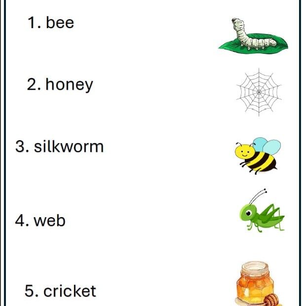 الاختبار التكويني الثاني اللغة الإنجليزية الصف الثالث