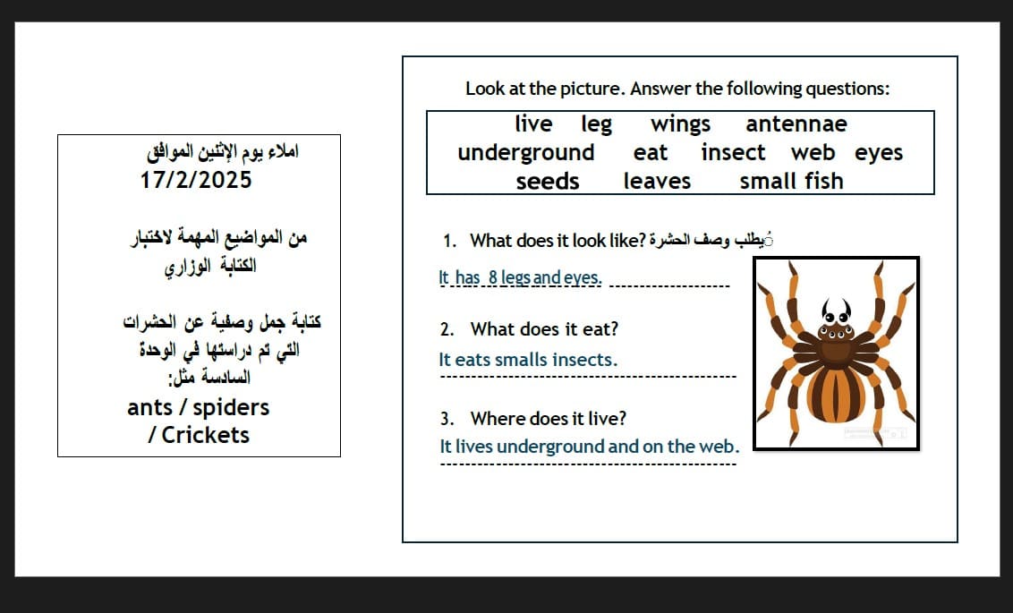 حل تدريبات كتابة من المواضيع المهمة لاختبار الوزاري اللغة الإنجليزية الصف الثالث