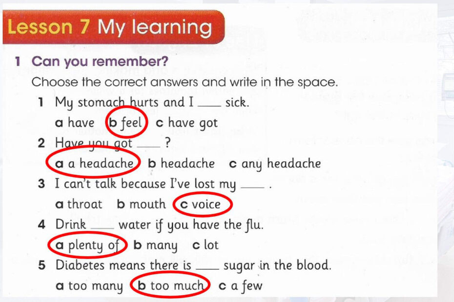حل درس My learning اللغة الإنجليزية الصف الخامس - بوربوينت