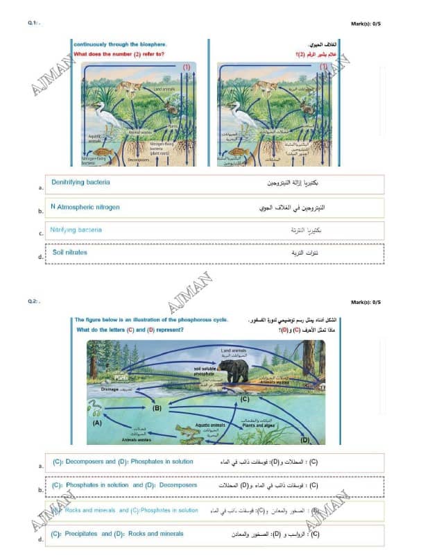 حل امتحان نهائي الأحياء الصف الثاني عشر عام الفصل الدراسي الثالث 