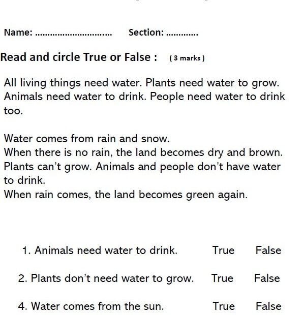 ورقة عمل Revision Test 1 اللغة الإنجليزية الصف الثاني