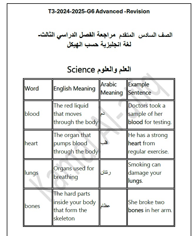 حل مراجعة حسب الهيكل الوزاري اللغة الإنجليزية الصف السادس متقدم
