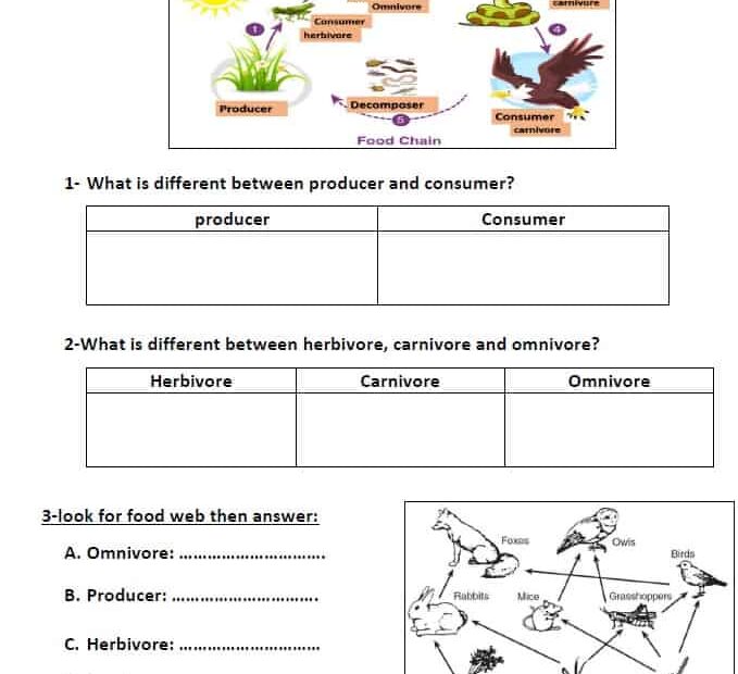 حل ورقة عمل interaction of living things العلوم المتكاملة الصف الخامس