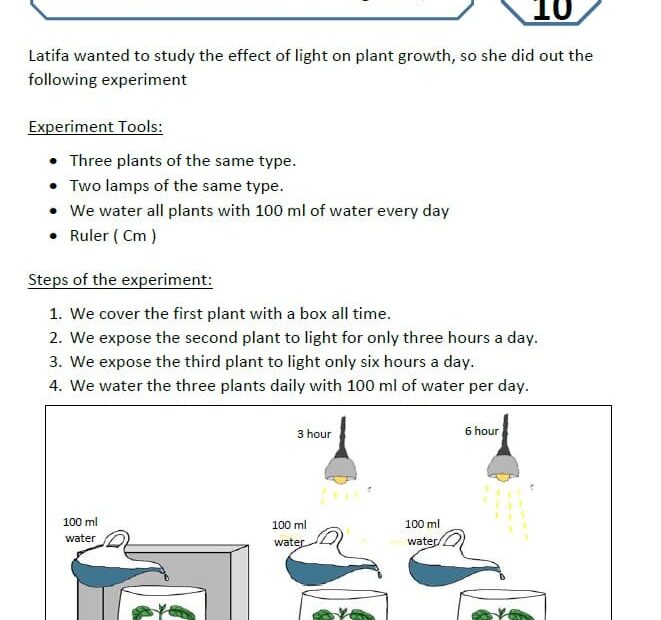 مراجعة Practical exam plant survival العلوم المتكاملة الصف الخامس