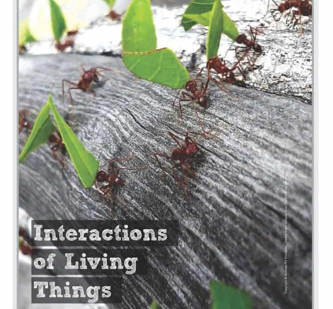 حل كتاب الطالب درس interactions of living things العلوم المتكاملة الصف الخامس