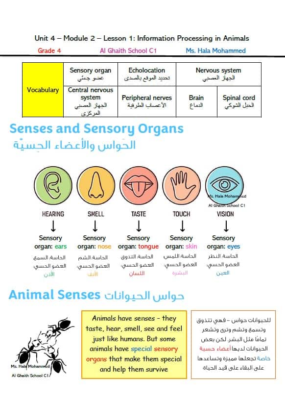 ملخص درس Information Processing in Animals العلوم المتكاملة الصف الرابع انسبير