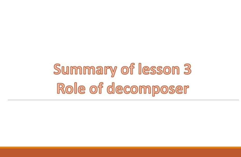 ملخص درس Role of decomposer العلوم المتكاملة الصف الخامس