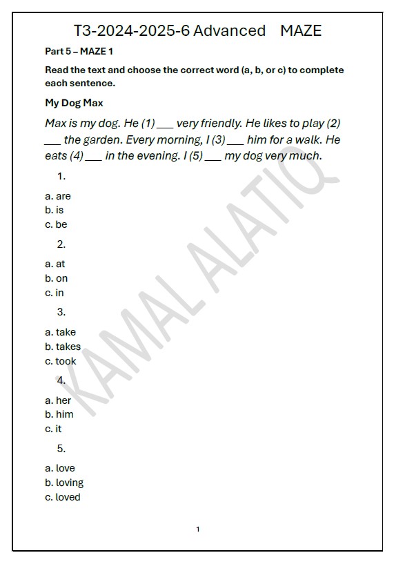 حل مراجعة MAZE اللغة الإنجليزية الصف السادس متقدم