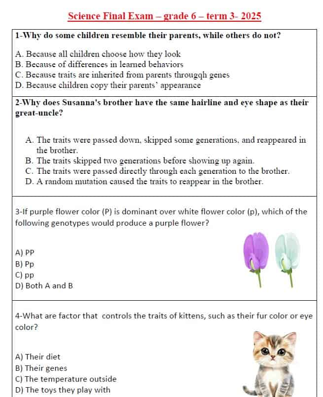 حل مراجعة نهائية Final Exam العلوم المتكاملة الصف السادس انسبير 