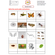 اللغة الإنجليزية أوراق عمل (Unit 6) للصف الثالث