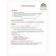 ملخص درس The Role of Decomposition العلوم المتكاملة الصف الخامس