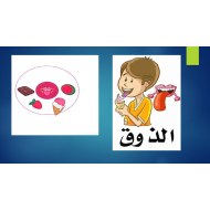 بوربوينت الحواس الخمس لغير الناطقين بها للصف الثاني مادة اللغة العربية