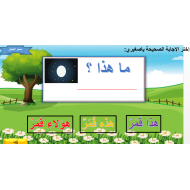 اللغة العربية بوربوينت أسئلة (أسماء الإشارة) للصف الثاني