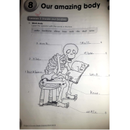 اللغة الإنجليزية الوحدة الثامنة (Our amazing body) للصف الرابع مع الإجابات