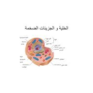 ملخص الخلية و الجزيئات الضخمة العلوم المتكاملة الصف السادس