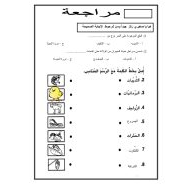 أوراق عمل مراجعة العلوم المتكاملة الصف الثاني