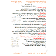 الأحياء ملخص (الوراثة الجزيئية) للصف الثاني عشر متقدم