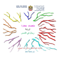 اللغة العربية ملخصات لرواية رجال في الشمس للصف الثاني عشر