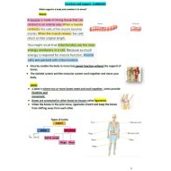 ملخص Structure and support العلوم المتكاملة الصف السادس