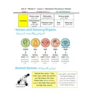 ملخص درس Information Processing in Animals العلوم المتكاملة الصف الرابع انسبير