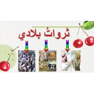 درس الثروة الزراعية الدراسات الإجتماعية والتربية الوطنية الصف الثاني - بوربوينت