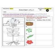 ورقة عمل Science Project العلوم المتكاملة الصف الرابع