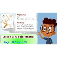 درس LESSON 3 A polar animal اللغة الإنجليزية الصف السادس Access - بوربوينت