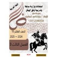 امتحانات وزارية سابقة اللغة العربية الصف العاشر الفصل الدراسي الثالث