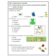 حل أوراق عمل Animal Lifecycles العلوم المتكاملة الصف الثالث