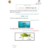 ملخص Different Types of Animals العلوم المتكاملة الصف الأول