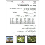 الدراسات الإجتماعية والتربية الوطنية أوراق عمل (نموذج اختبار) للصف التاسع