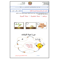 العلوم المتكاملة أوراق عمل (شاملة) للصف الثاني