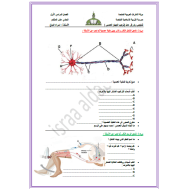 الأحياء أوراق عمل للصف الحادي عشر عام