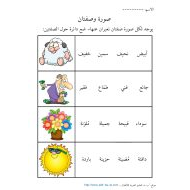 اللغة العربية ورقة عمل (صورة و صفتان) للصف الثاني