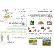 ملخص الوحدة الثانية النباتات كائنات حية العلوم المتكاملة الصف الأول