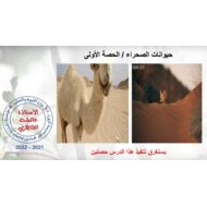 حل درس حيوانات الصحراء اللغة العربية الصف السابع – بوربوينت