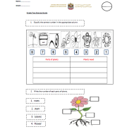 العلوم المتكاملة أوراق عمل (الوحدة الثانية) بالإنجليزي للصف الثاني