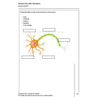 حل أوراق عمل Nervous system الأحياء الصف التاسع متقدم