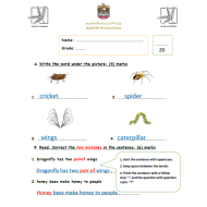 اللغة الإنجليزية أوراق عمل (Unit 6) للصف الثالث مع الإجابات