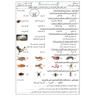 العلوم المتكاملة أوراق عمل (الاختبار الثاني) للصف الثاني مع الإجابات