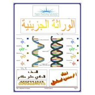 ملخص درس الوراثة الجزيئية الصف الحادي عشر متقدم مادة الاحياء