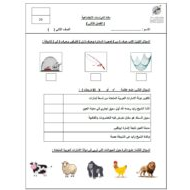 اختبار التقويم الثاني الدراسات الإجتماعية والتربية الوطنية الصف الثاني