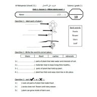 ورقة عمل plants needs العلوم المتكاملة الصف الثاني