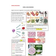 ملخص درس Levels of Organization العلوم المتكاملة الصف السادس