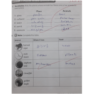 اللغة الإنجليزية كتاب النشاط (Unit 10) للصف السادس مع الإجابات