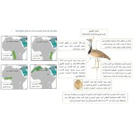 امتحان نهاية الفصل الدراسات الإجتماعية والتربية الوطنية الصف الثاني عشر الفصل الدراسي الثاني 2022-2023