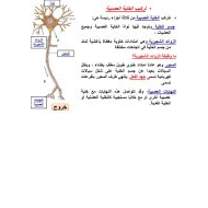 الأحياء ملخص (تركيب الخلية العصبية) للصف التاسع