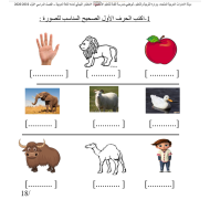 ورقة عمل الاختبار النهائي الفصل الدراسي الأول اللغة العربية الصف الأول